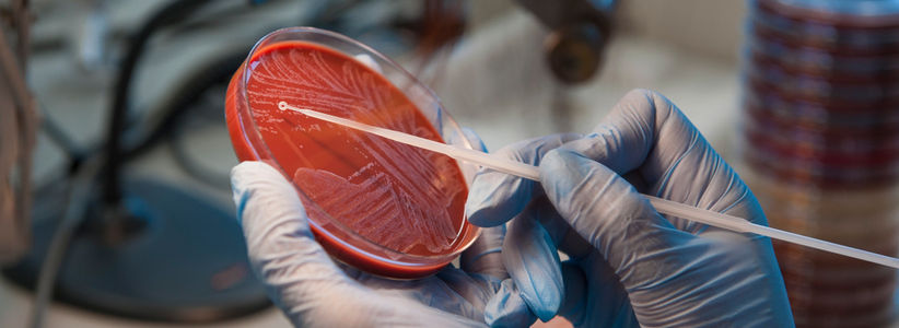 Speciality Group’s second webinar promises wide spectrum of discussion next month