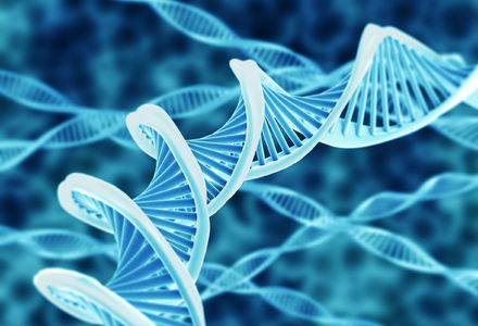 Bursaries available for attendance at European Human Genetics Conference